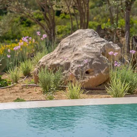 Lithos Art Svoronata